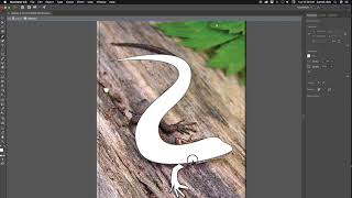 Illustrator Tutoral 1