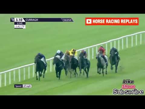 White Birch - Tattersalls Gold Cup, Gr.1