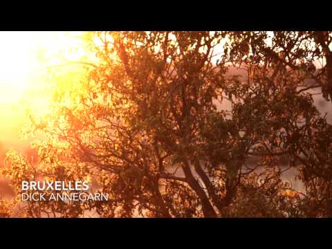 Bruxelles- Dick Annegarn (Amandine cover)