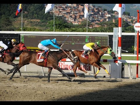 Copa Invitacional de Importados 2014 - Sun River Jet (PAN)