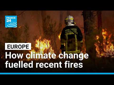 How did climate change fuel the wildfires ravaging Europe this summer?