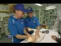 Australia Zoo On News Tonight 9 7 2006
