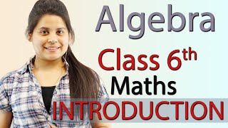 Introduction -  Algebra  - Chapter 11 - Class 6th 