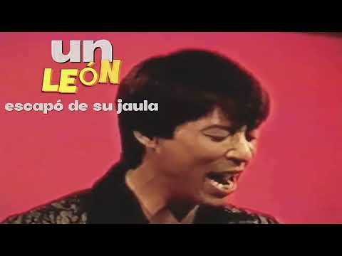 ♦ UN LEÓN SE ESCAPÓ – JINSOP (LYRICS) ♦