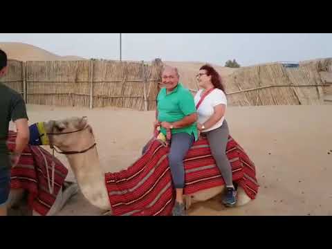 Italiani sul cammello nel deserto