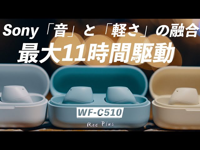 れっくぷらす / Rec Plus