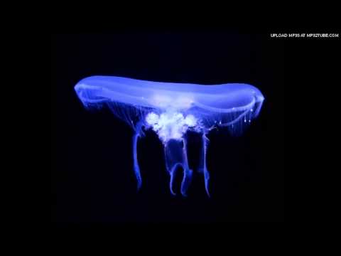 Bernard Sagawa - Jellyfish