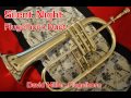 Silent Night Flugelhorn (Trumpet) Duet - David Miller