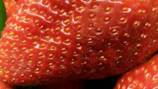 Dj  Quicksilver - Bellissima (Extended Mix) JPMiX