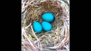 Southern Raised Sing "The Sun will Never Set Again" & "He came looking for Me"