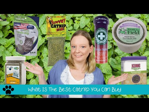 Catnip Review -  The Best Catnip You Can Buy  - Cat Tested