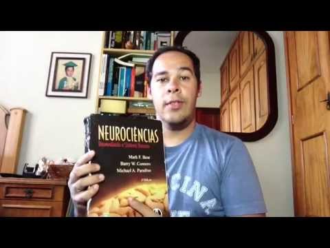 [Physiology] Physiology of Vision