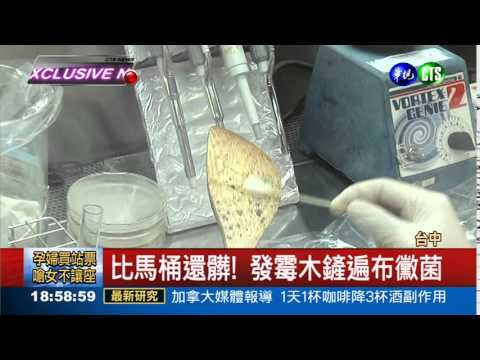 木鏟發黴怎麼辦