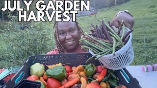 Been Gone for 6 Days....Let's Harvest the Garden!
