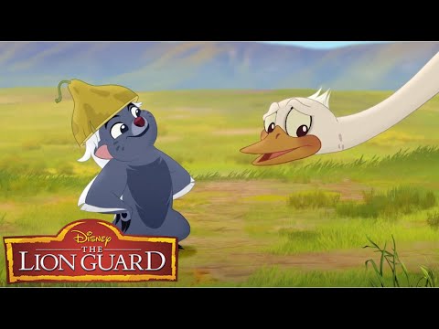 The Lion Guard - Bunga The Wise l Season 1 Clip
