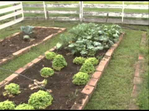 Propriedade Modelo Agricultura Familiar - Programa Rio Grande Rural 