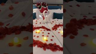 【ケアンズ】彼女が知らない間に…サプライズプロポーズの準備💍|オーストラリア