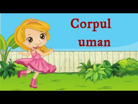 🧍‍♂️Corpul uman🧍‍♀️|cunoasterea mediului| prezentare generală