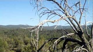 preview picture of video 'Prescott 305 Trail Mountain Bike Ride'