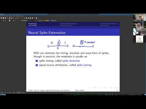 Neural Spike Trains Part 1—Spike Detection