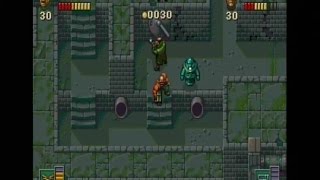 THE CHAOS ENGINE (DOS - FULL GAME)