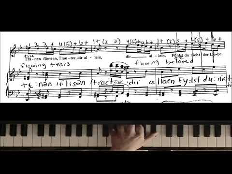 Ach, ich fülhs (animeted score)