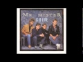 Mr. Mister - Is it Love? (12" Dance Mix) 