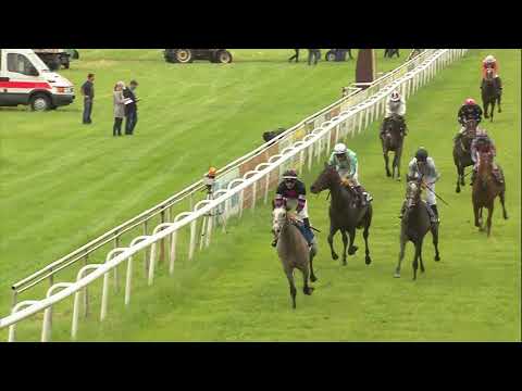 Galopprennbahn Dresden - 16.06.2019 - Rennen 2