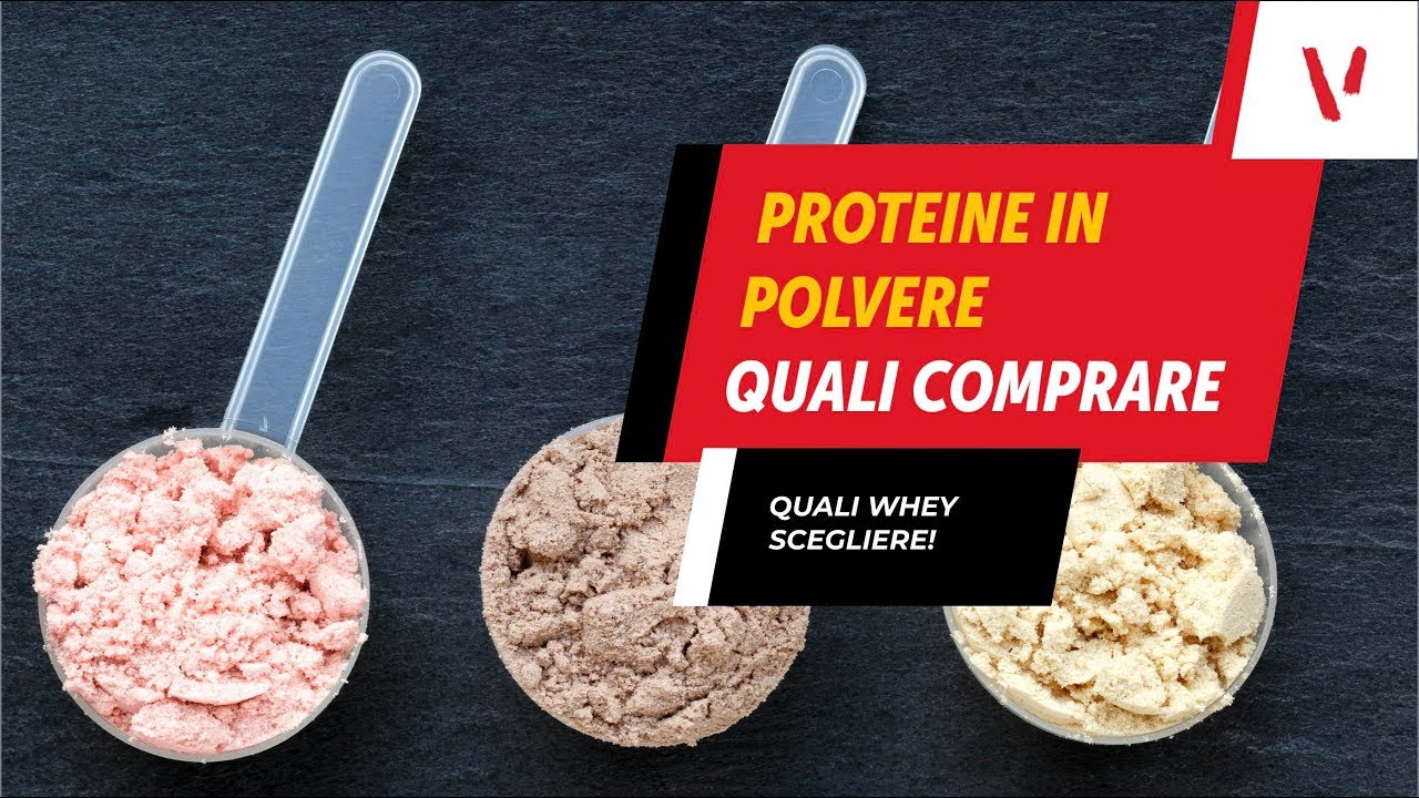 Watch Now Le migliori proteine in polvere: quali scegliere Le migliori proteine in polvere: quali scegliere