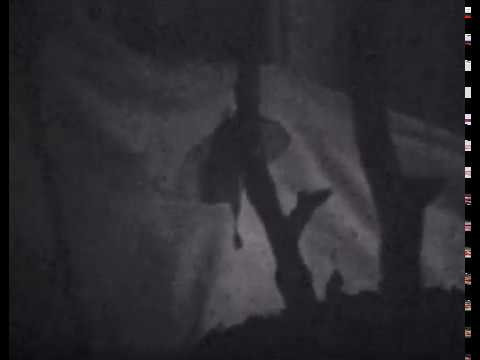 Johanna Unzueta, Moon Moth (2010)