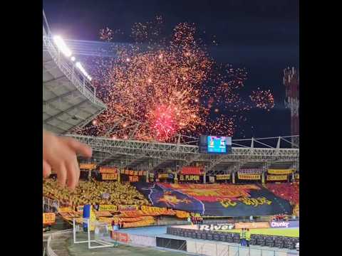 "" Barra: Lobo Sur &bull; Club: Pereira