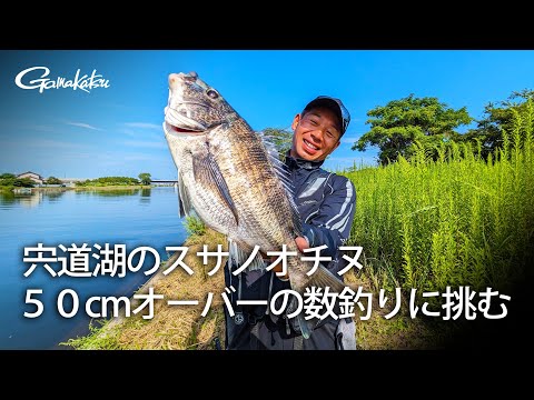 【G WORLD】#36　宍道湖のスサノオチヌ 50センチオーバーの数釣りに挑む！