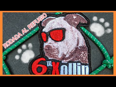 ¿Como ayudar a un refugio de perritos?// REFUGIO XOLLIN de Resiliencia Motors y Perspectiva Viajera/