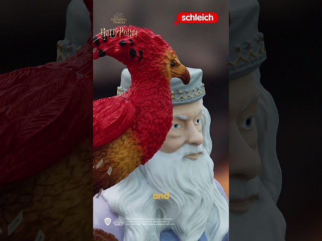 Vídeo relacionado con Schleich 42635 Hermione Granger & Crookshanks, a Partir de 6 años, Wizarding World - Figura, 3 x 3 x 10 cm