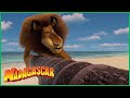 DreamWorks Madagascar Em Português Chegada à Ilha Desenhos Animados