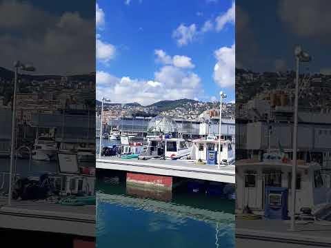 Genova,  Porto Antico #mare #genovamorethanthis #centro #acquariodigenova #videoshort #bigo