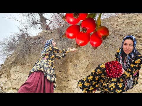 Khadija found very strange fruits in the mountains and picked them.
