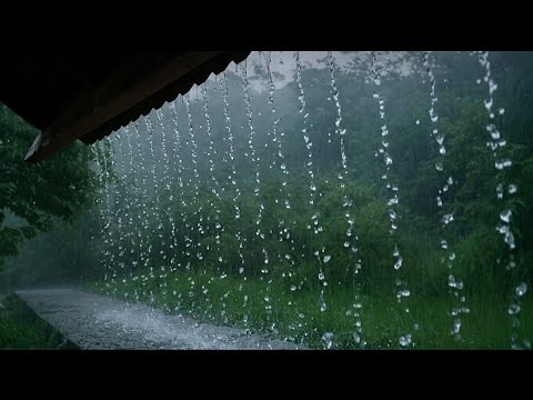 You just need the sound of heavy rain & thunder, to sleep more soundly | ASMR ‐ indorain
