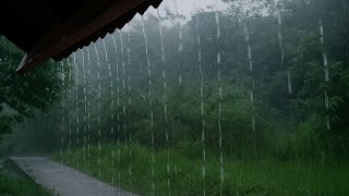 Download lagu Kamu Cuma Butuh Suara Hujan Lebat & Gemuruh Petir, untuk Tidur Lebih Nyenyak | ASMR ‐ indorain mp3 Download lagu Kamu Cuma Butuh Suara Hujan Lebat & Gemuruh Petir, untuk Tidur Lebih Nyenyak | ASMR ‐ indorain mp3