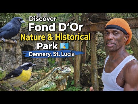 Saint Lucia | Fond d’Or Nature & Historical Park | Amerindians, Slavery & Sugar Estate History