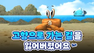 달랑게가 집을 잃어버린 사연은?! [어린이 해양교육]