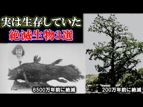 Xylella fastidiosaについて詳しく解説