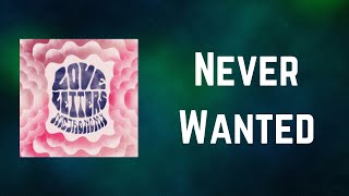 Metronomy - Never Wanted (Lyrics)