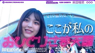 [乃木] 配信中 柴田自己看棒球