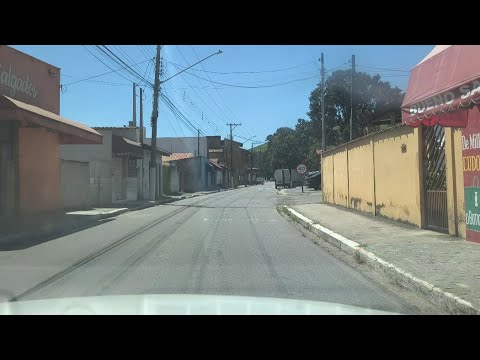 Roseira SÃO PAULO 