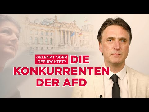 Gelenkt oder Gefürchtet? Das sind die Konkurrenten der AfD