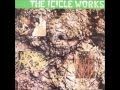 the Icicle Works - nirvana