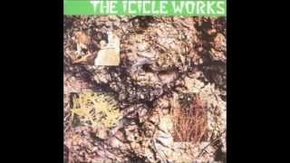 the Icicle Works - nirvana