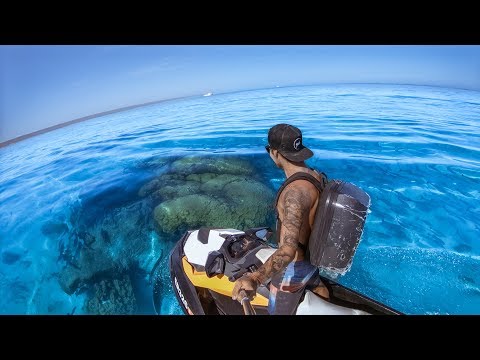 YBS Lifestyle Ep 3 - CLEAREST WATER EVER | Big Tiger Shark + Hammerhead Shark | Cod Catch And Cook