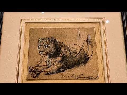 Video Thumbnail: Rembrandt’s rare 400-year-old lion drawing goes up for auction